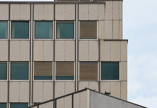 Façades grises et verres verts